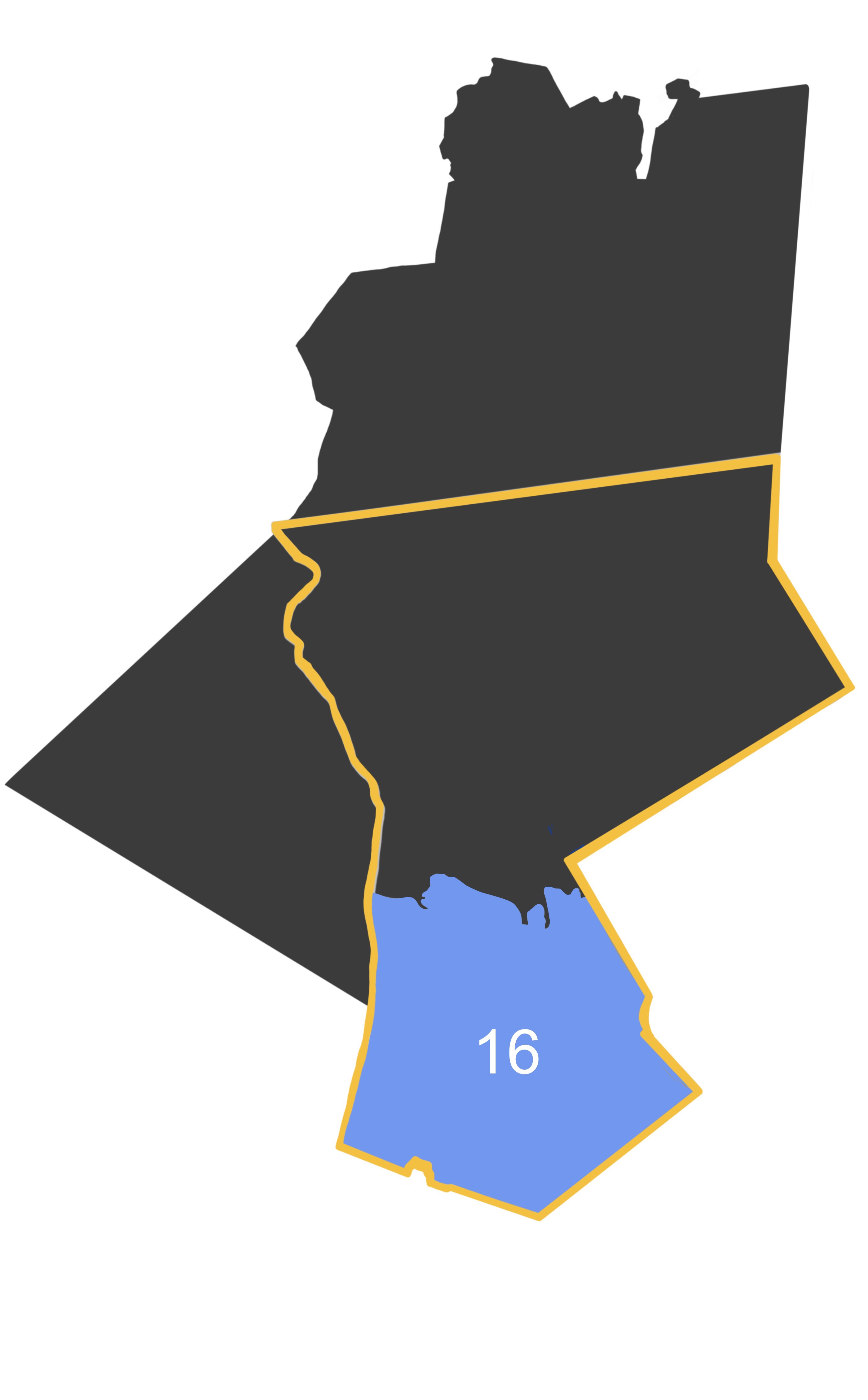 New Yorks 16 Congressional District Prochoice Voter 5636
